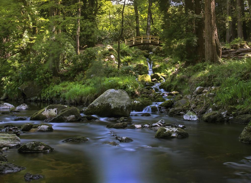 Ballyteige Lodge Ballyteige Bridge Eksteriør billede