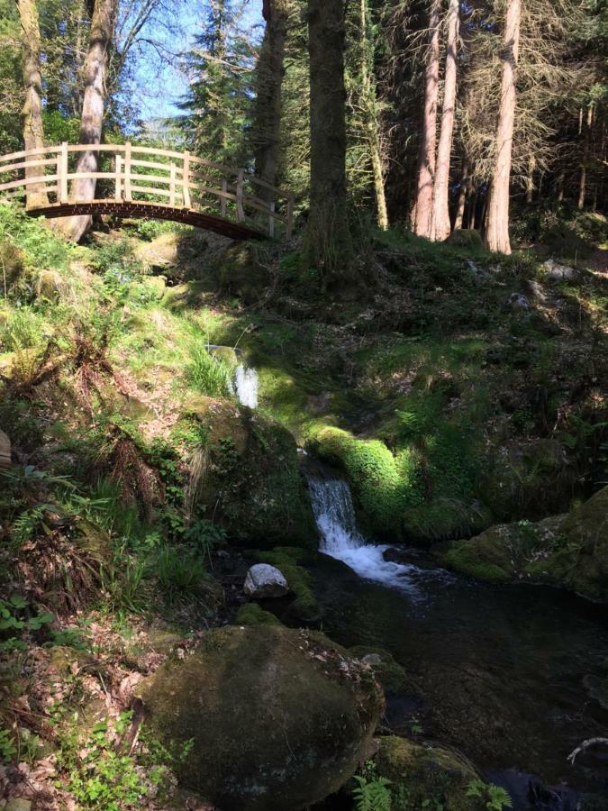 Ballyteige Lodge Ballyteige Bridge Eksteriør billede