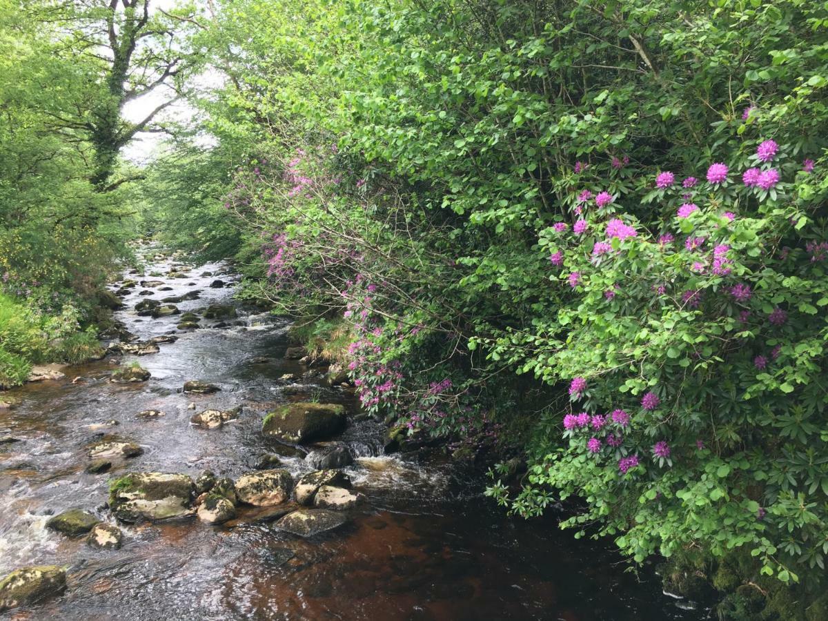 Ballyteige Lodge Ballyteige Bridge Eksteriør billede